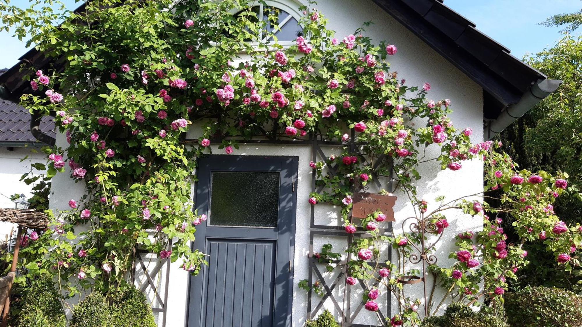 Tina'S Home Gütersloh Exterior foto